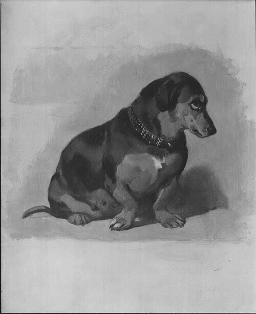 'Sewa', , Edwin Landseer