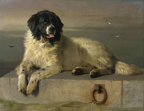 A Distinguished Member of the Humane Society, 1831, Edwin Landseer