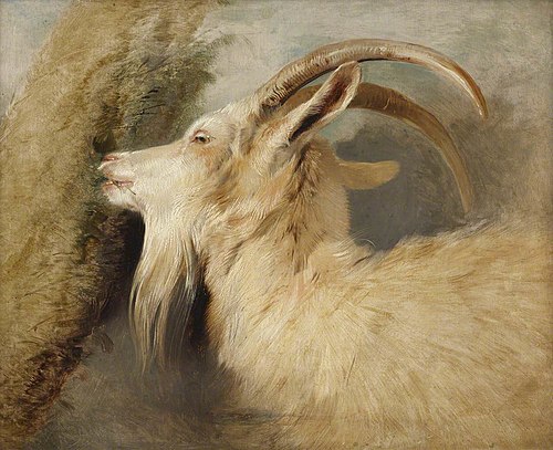 Tête de chèvre, 1833, Edwin Landseer