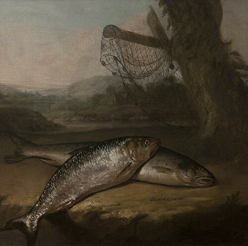 Atlantic Salmon and Allis Shad, possibly by the River Wye, 1772, Arthur Devis