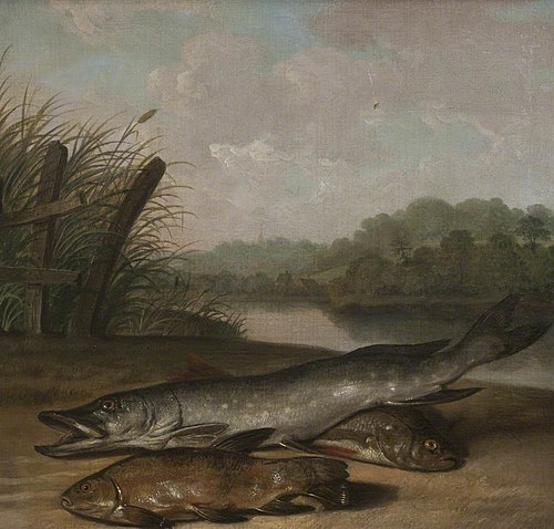 Pike, Tench and Chub, 1772, Arthur Devis