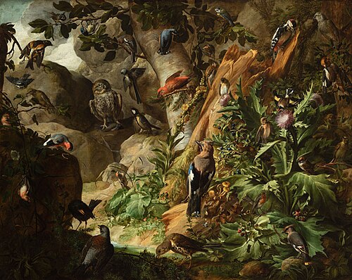 Birds in the Wild I., 1704, Johann Rudolf Byss