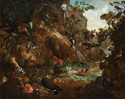 Birds in the Wild ll., 1705, Johann Rudolf Byss