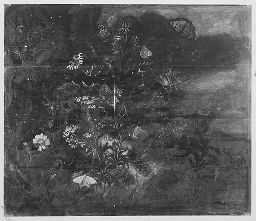 Stillleben, 1699, Johann Rudolf Byss