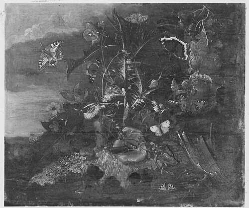Stillleben, 1699, Johann Rudolf Byss