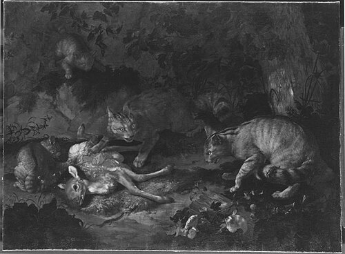 Wildkatzen und totes Rehkitz, 1700, Johann Rudolf Byss