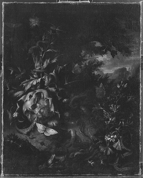 Stillleben-Vanitas, 1699, Johann Rudolf Byss