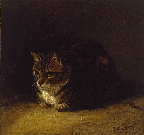 Study of a Cat, 1817, Abraham Cooper