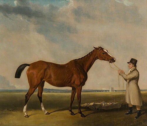 'Rhoda', a Bay Racehorse, , Abraham Cooper