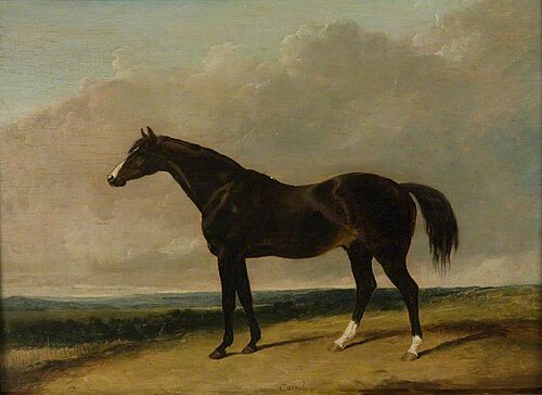The Racehorse, 'Camel', 1835, Abraham Cooper