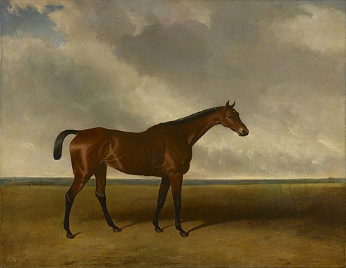 Fleur-de-lis, 1827, Abraham Cooper