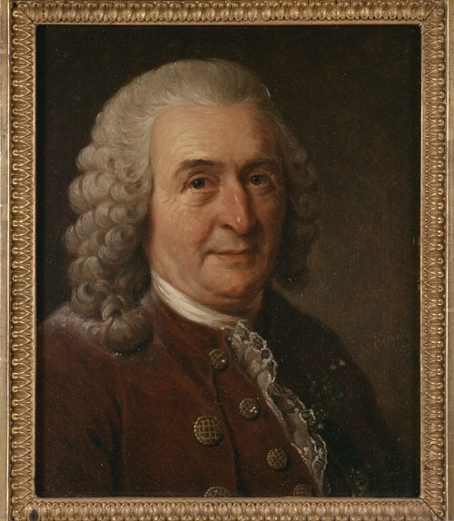 Carl von Linné (1707-1778), botanist, professor, married to Sara Elisabeth Moraea, 1827, Johan Gustaf Sandberg