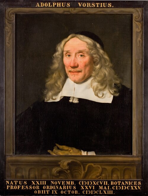 Portret van Adolphus Vorstius, hoogleraar Geneeskunde en Kruidkunde te Leiden, 1661, Abraham van den Tempel