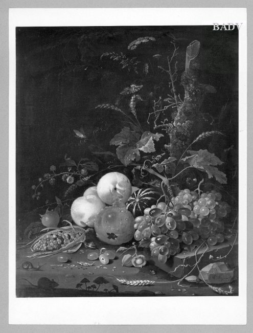 stillife various fruit and plant., 1665, Abraham Mignon