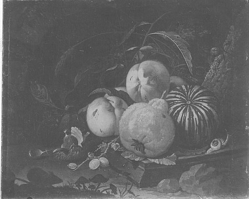 Fruit Still-life, 1672, Abraham Mignon