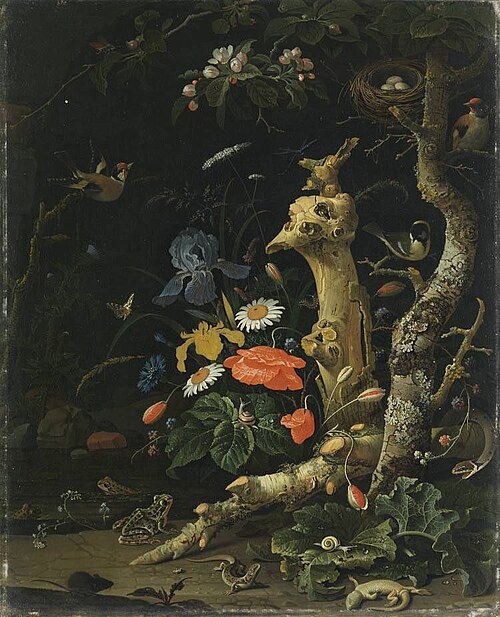 Field flowers in woodland, 1671, Abraham Mignon