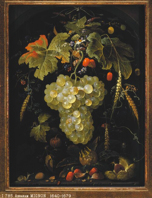 Festoon of fruit suspended from a rope, in a niche, 1674, Abraham Mignon