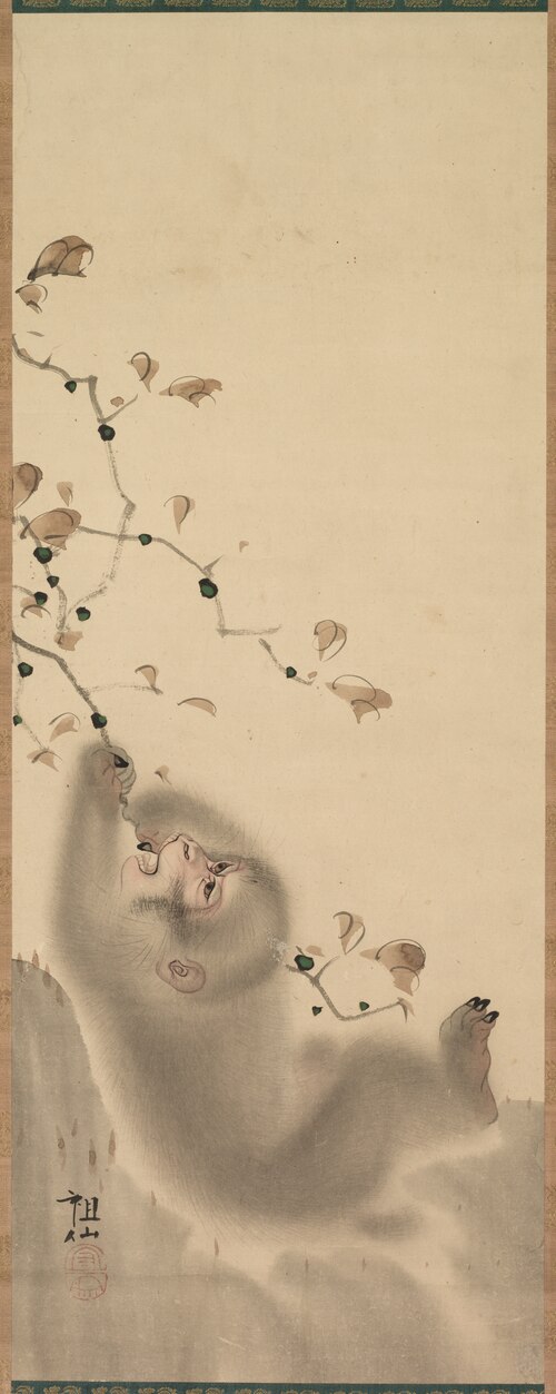 Monkey Hanging on to a Branch, 1780, Mori Sosen