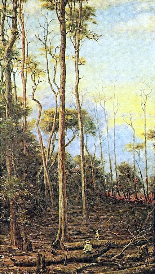 Paroba trees, 1906, Benedito Calixto de Jesus