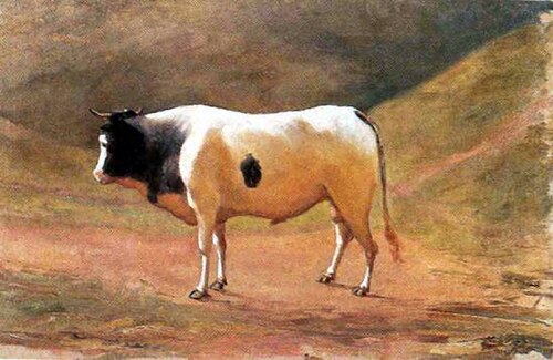 Ox grazing, , Benedito Calixto de Jesus