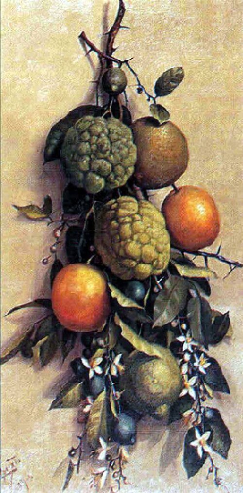 Fruit, 1904, Benedito Calixto de Jesus