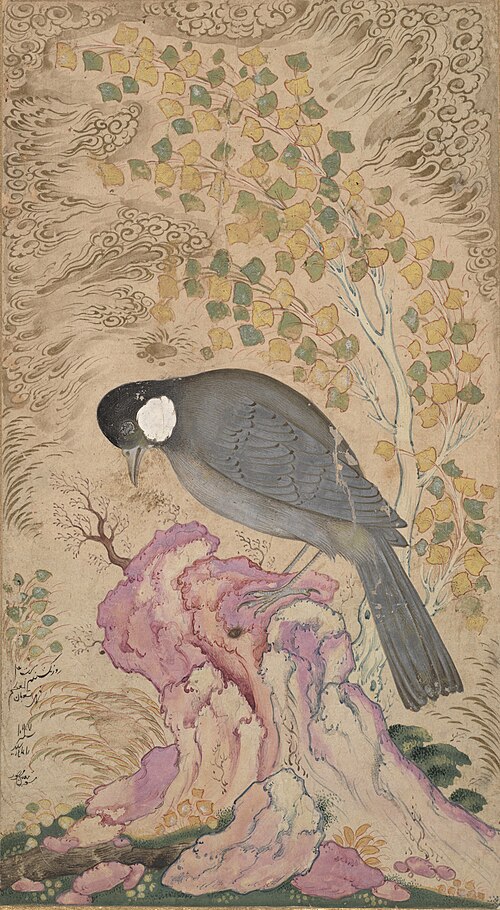 White-Eared Bulbul Perched on a Pink Rock, 1676, Muin Musavvir