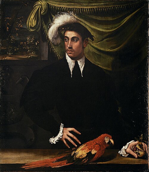 Man with Parrot, 1540, Nicolò dell'Abbate