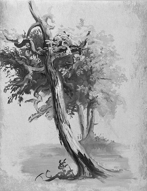 Study of a Tree, 1824, Thomas Cole
