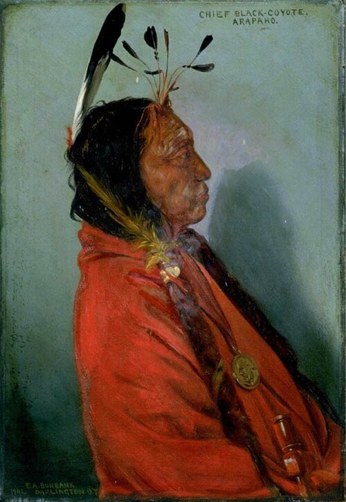 Chief Black-Coyote, 1901, Elbridge Ayer Burbank