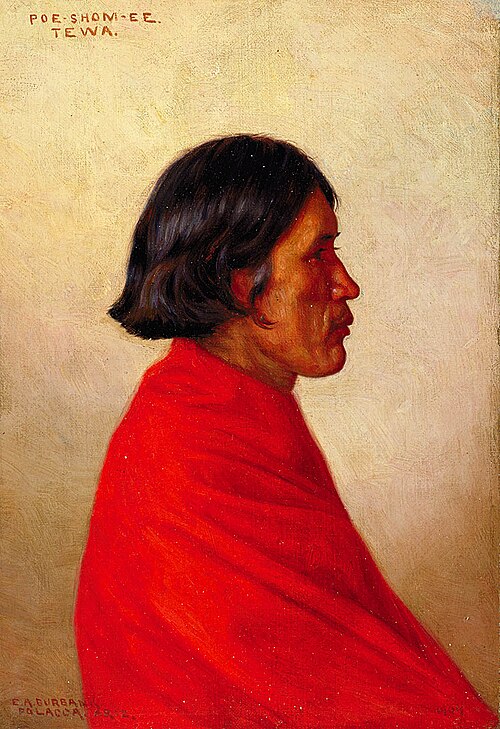 Poe-shom-ee, 1904, Elbridge Ayer Burbank