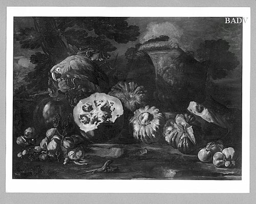 Stilleben mit Melonen + Papagei, 1616, Le Guerchin
