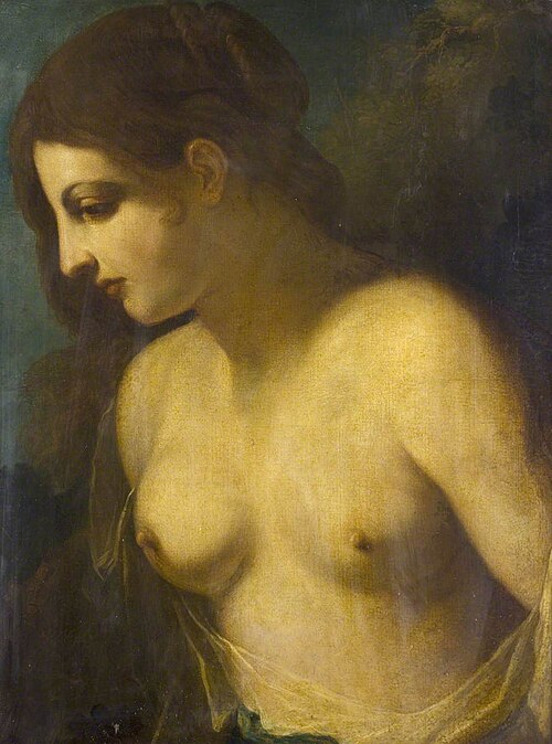 Female Torso, , Le Guerchin