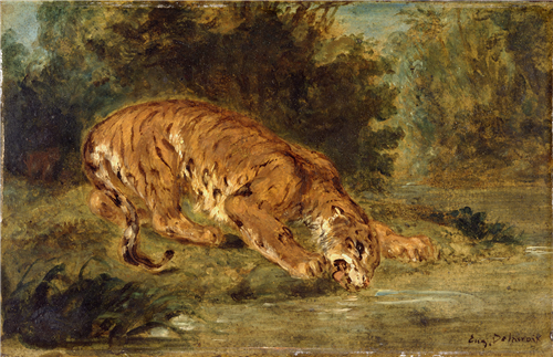 Tigre buvant, 1854, Eugène Delacroix