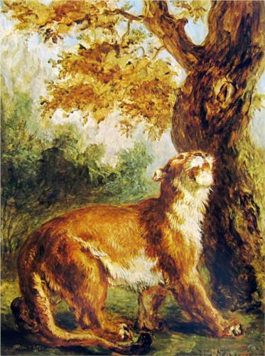 Le Puma, 1859, Eugène Delacroix