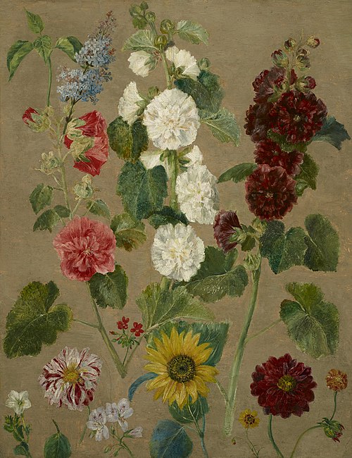 Untitled [flowers], 1850, Eugène Delacroix