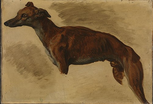 Lévrier, 1859, Eugène Delacroix