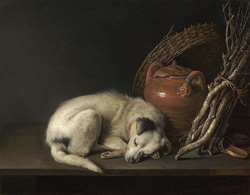 Dog at Rest, 1650, Gerrit Dou