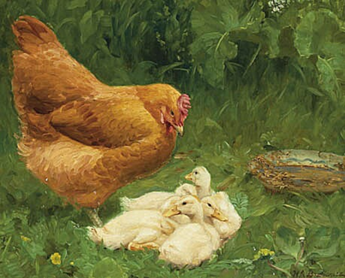 A hen and some ducklings., 1913, H. A. Brendekilde