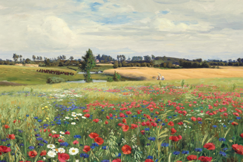 A field of cornflowers, poppies and daisies., 1908, H. A. Brendekilde
