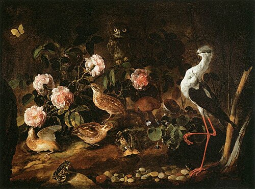 Nature morte avec des cailles, un hibou et une échasse blanche, 1680, Paolo Porpora
