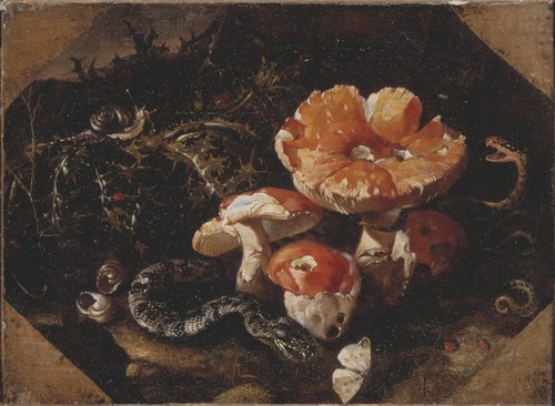 Serpents, Fly Agarics and Thistles, 1654, Paolo Porpora