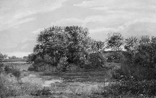 Bog on a Wooded Islet, 1838, Dankvart Dreyer