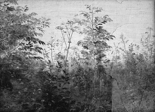 Foreground Study, 1844, Dankvart Dreyer