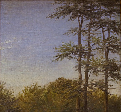 Study of Undergrowth and Tall Trees, Funen, 1846, Dankvart Dreyer
