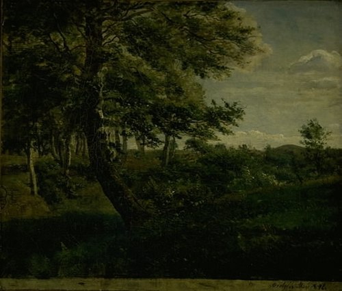 Ørsbjerg Forest at Aarup, Funen, 1846, Dankvart Dreyer