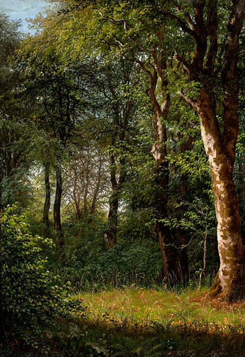 Sunlit spot in the forest., 1839, Dankvart Dreyer