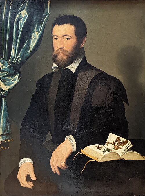 Pierre Quthe, apothicaire, 1562, François Clouet