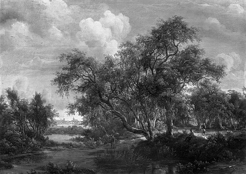 Wooded Landscape, 1665, Meindert Hobbema