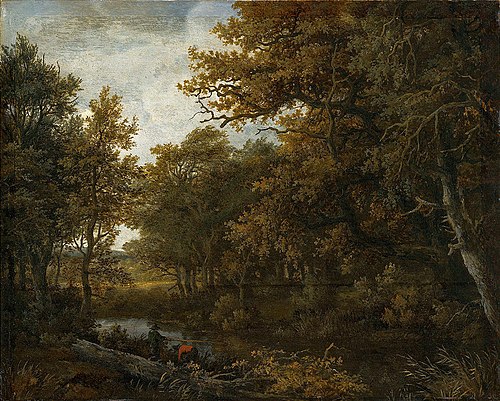 Forest, 1662, Meindert Hobbema