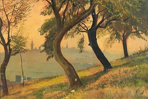 Friedberg in Hessen from the Johannisberg Nauheim, 1903, George Howard
